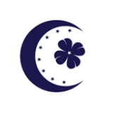 Yeni Türkiye Partisi logosu