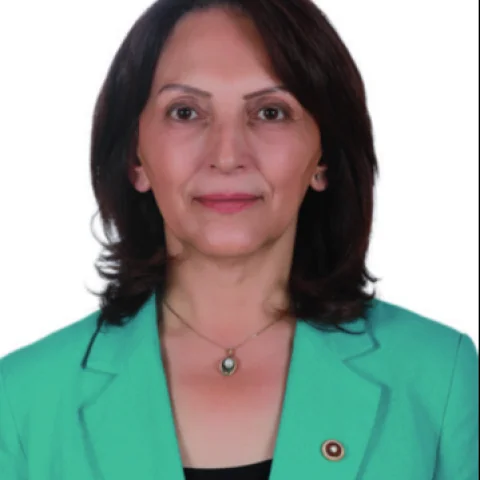 Aliye Timisi Ersever