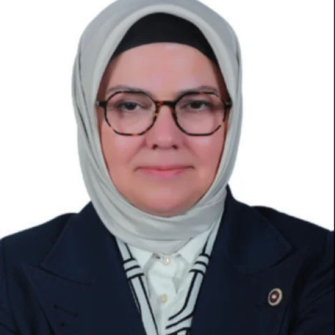 Ayşe Böhürler