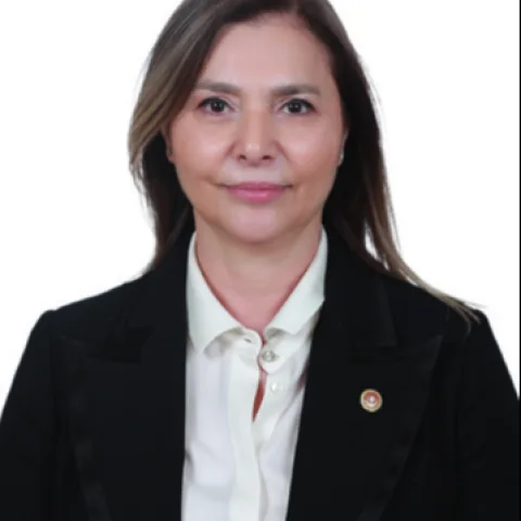 Ayşe Sibel Ersoy