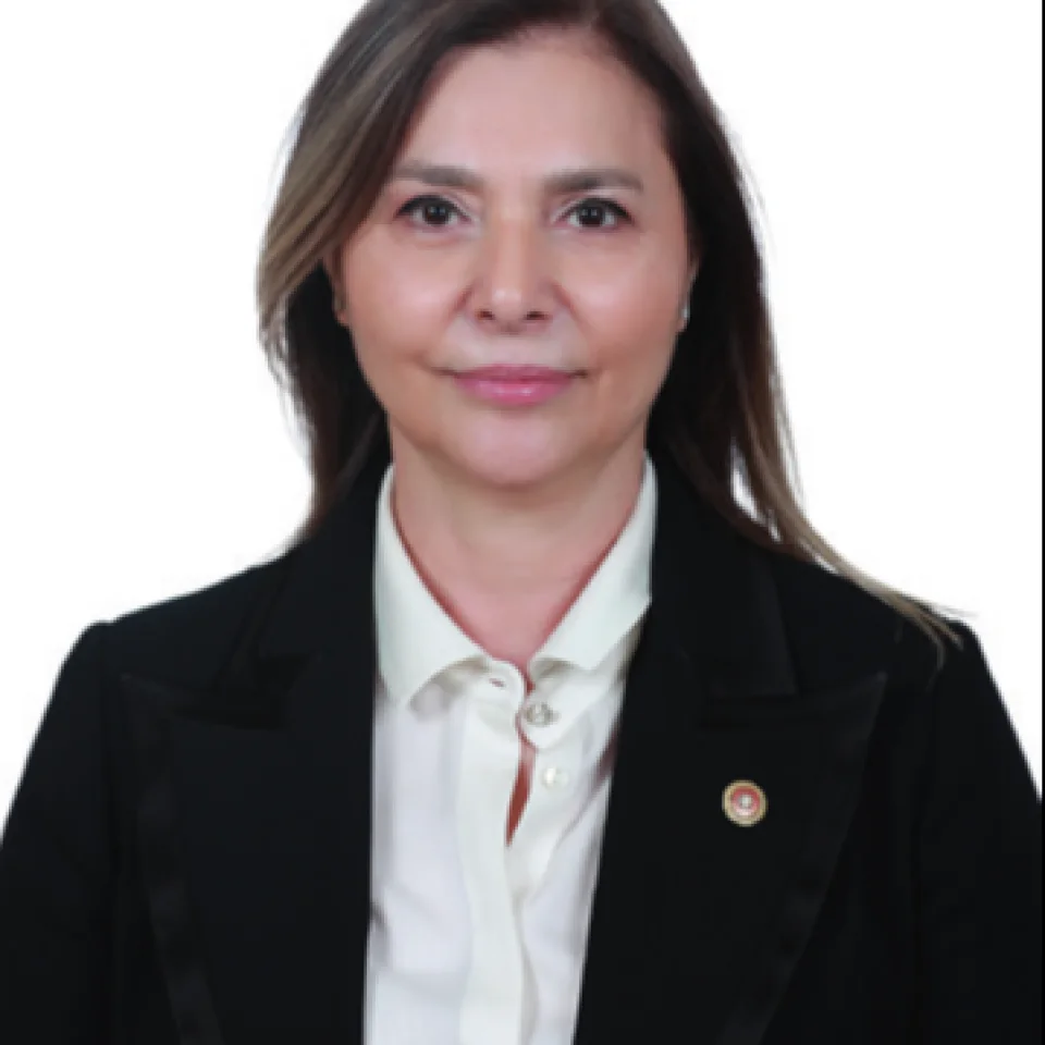 Ayşe Sibel Ersoy