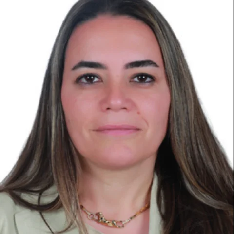 Ayyüce Türkeş Taş