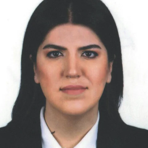 Derya Ayaydın
