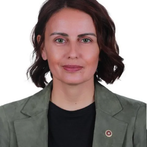 Havva Sibel Söylemez