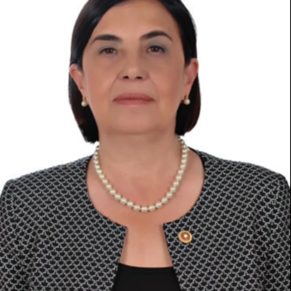 Jale Nur Süllü