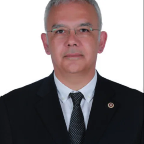 Kayıhan Pala