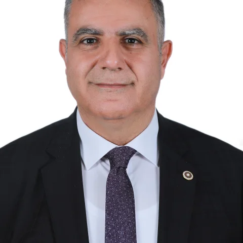 Mehmet Güzelmansur