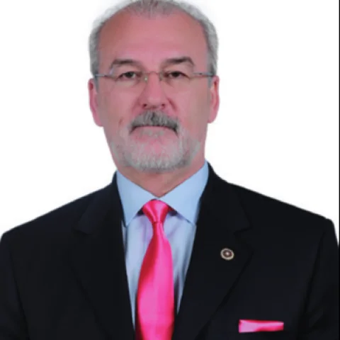 Mustafa Hulki Cevizoğlu