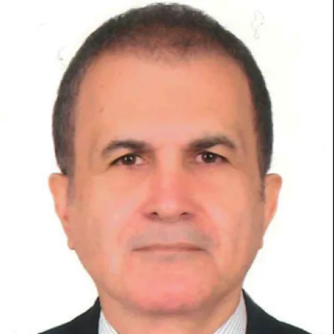 Ömer Çelik
