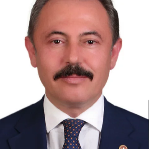 Şahin Tin