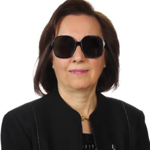 Serap Yazıcı Özbudun
