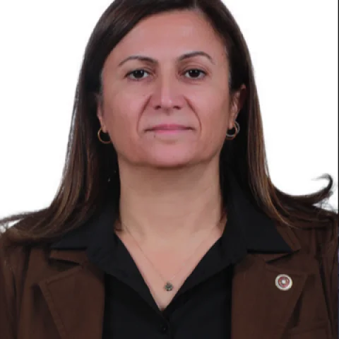 Türkan Elçi