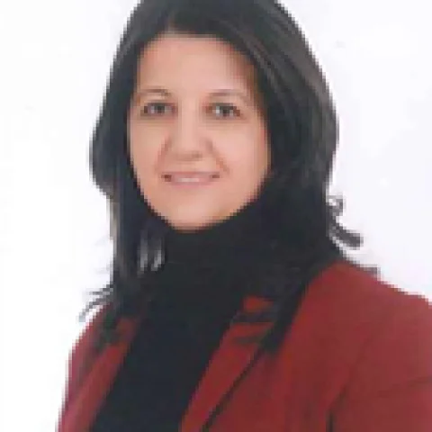 Pervin Buldan